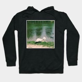 Beautiful Vintage Photography of Swans in Vienna Austria Europe Streets of Vienna Discover new places Travel the world Hoodie